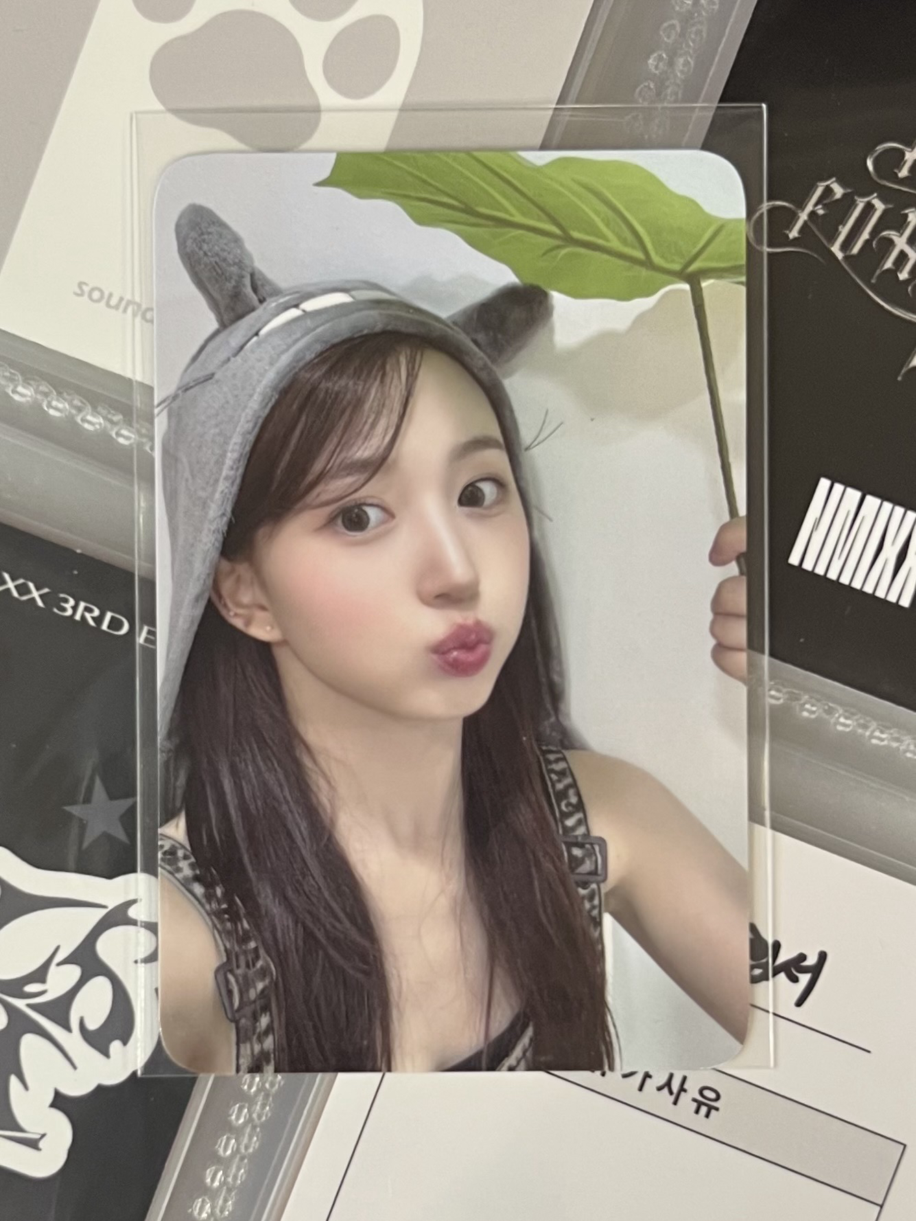 💫 NMIXX 龍貓嫄