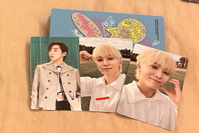 seventeen 勝寛 bss 電子專 wvs專