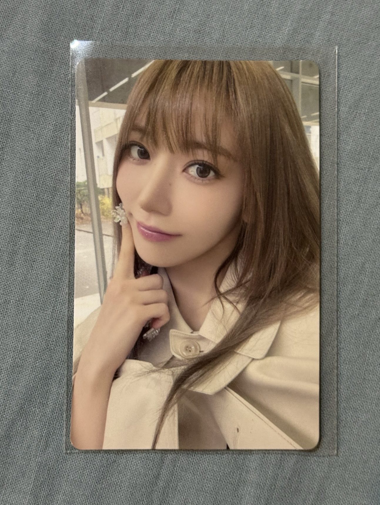 🟢Hot wvs sc特典櫻