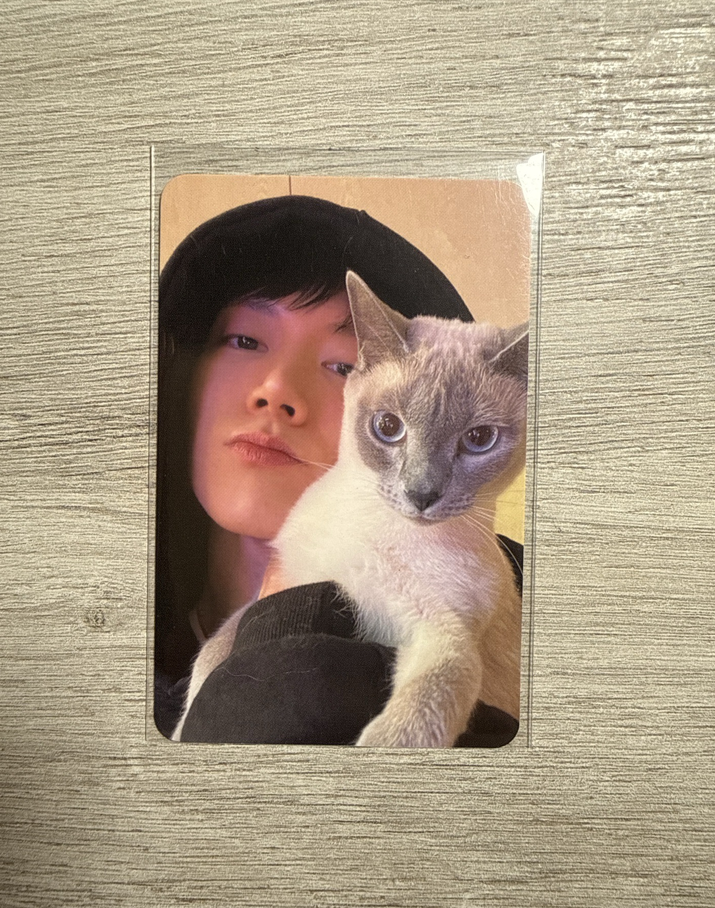 售 Ten抱著Levi小卡