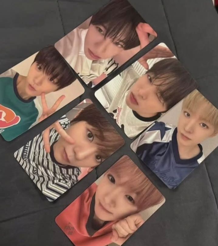 溫陸志要多帶樹遼