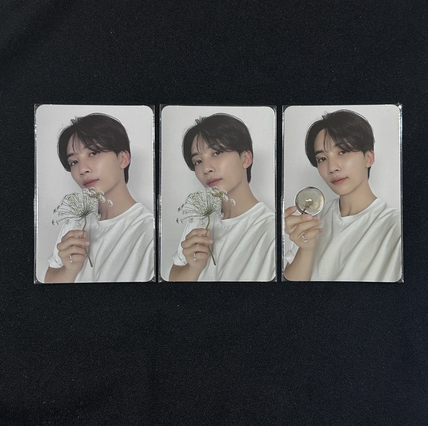 🌸seventeen 親愛盤 精選專 尹淨漢