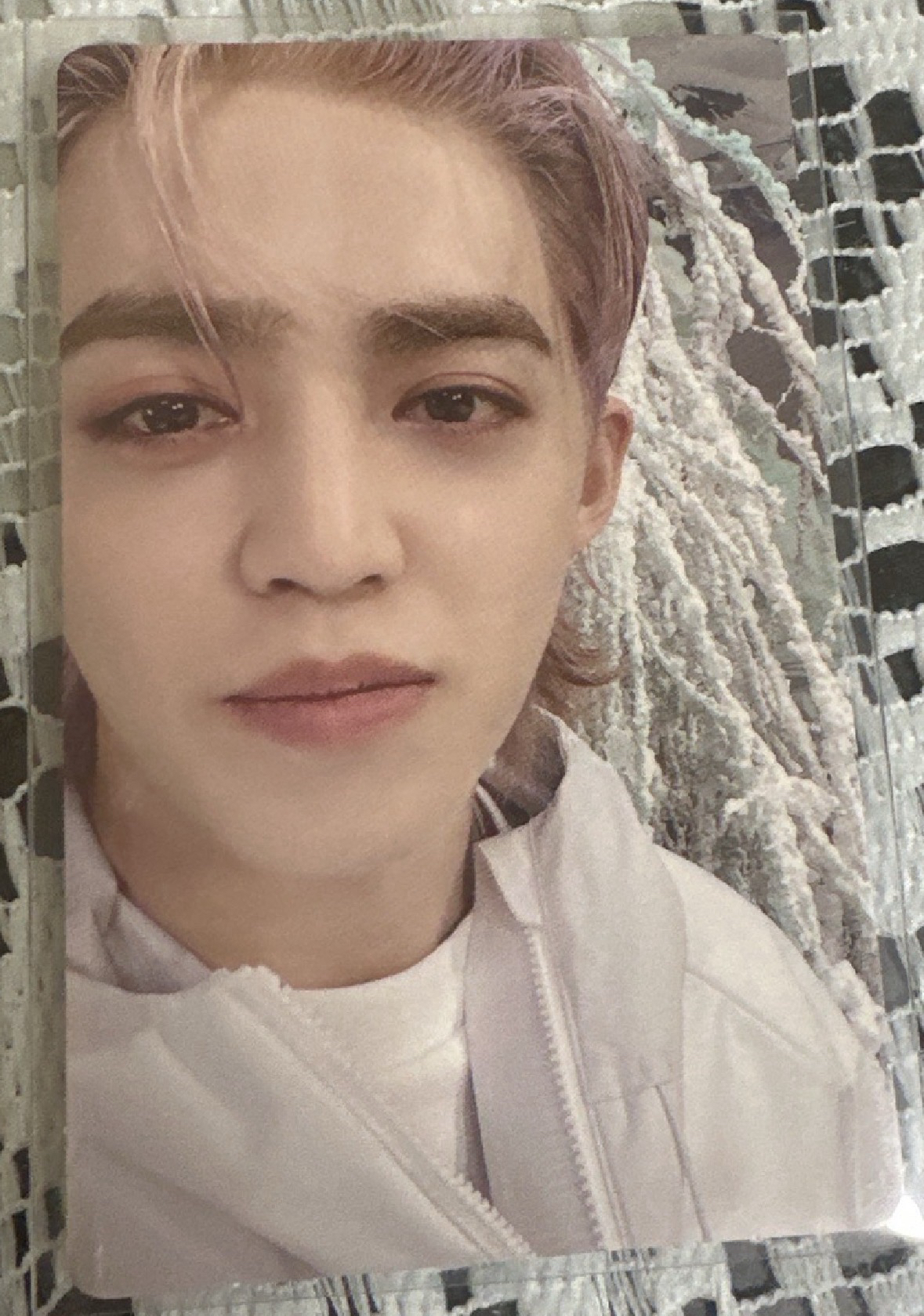 哲 正四後續 wvs專 專卡