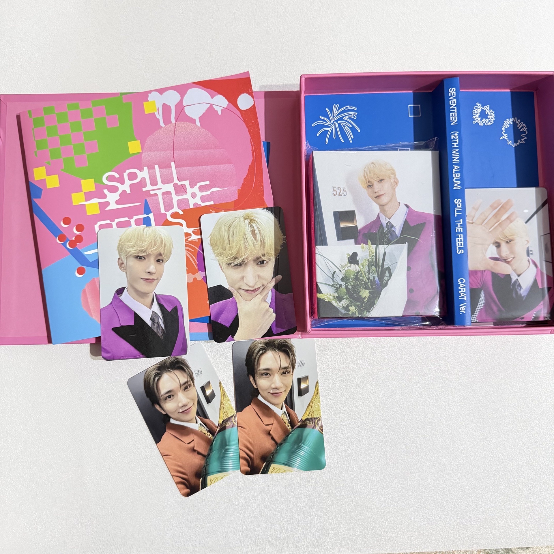 SEVENTEEN MINI12 克拉盤/碩