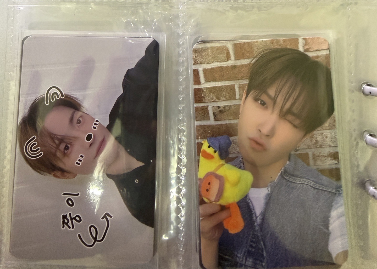 歪頭小雞/寵物鏡頭中