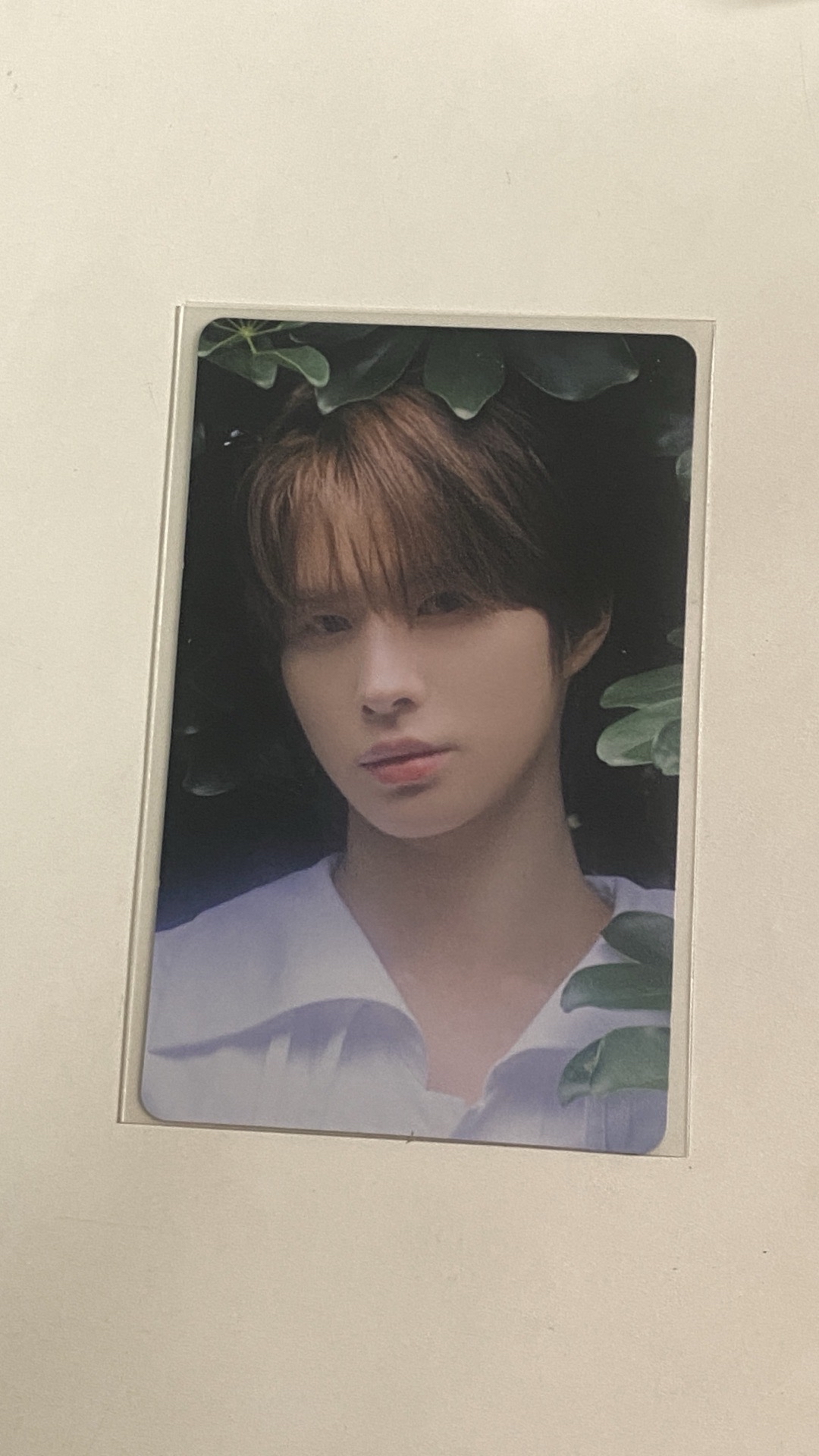 初次見面澀谷限定抽選卡炅潣