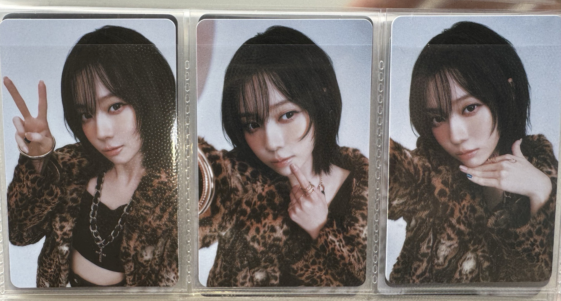 隨機卡-冬套（6張）