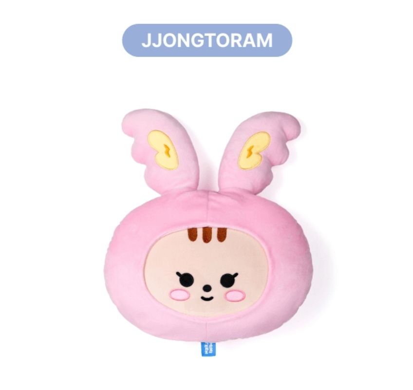 MINITEEN 抱枕 ｜JJONGTORAM