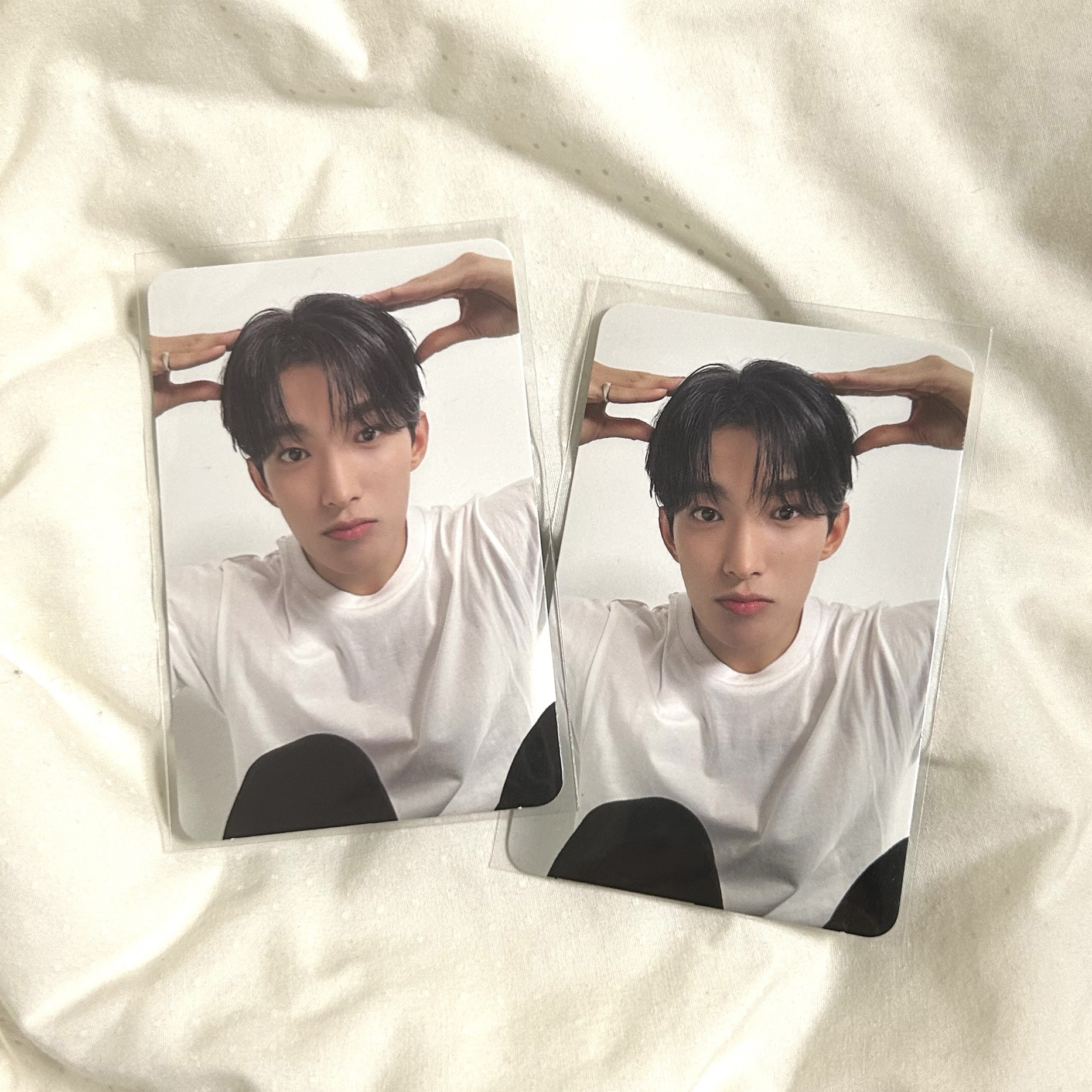 碩｜迷11克拉盤卡 狗狗碩