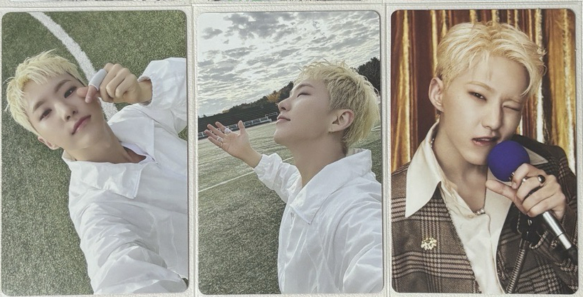 BSS<TELEPARTY> Hoshi 專輯卡 電子專(未掃）