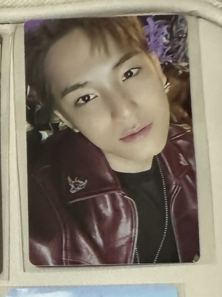 COMPACT盤WVS特典 奎