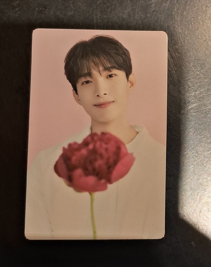 碩 2023首爾咖啡廳隨機卡