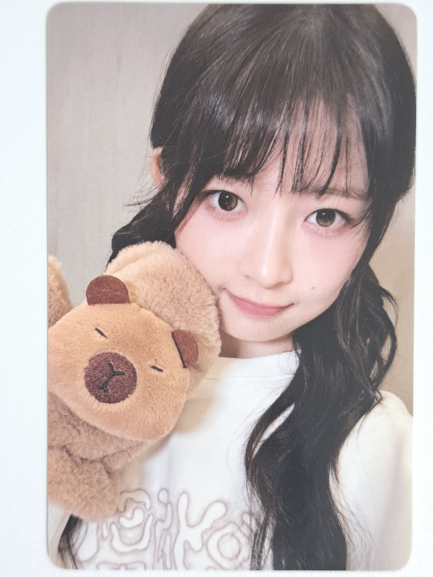 IVE SWITCH yzy 3.0 簽售卡 卡皮巴拉怜 怜爱频率开启