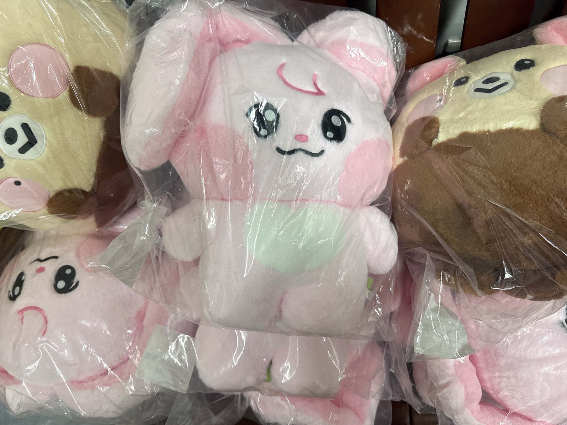 已全台缺貨 先私訊  NCT DREAM line friends 聯名快閃店 Dreamiez 大娃 渽民 志晟