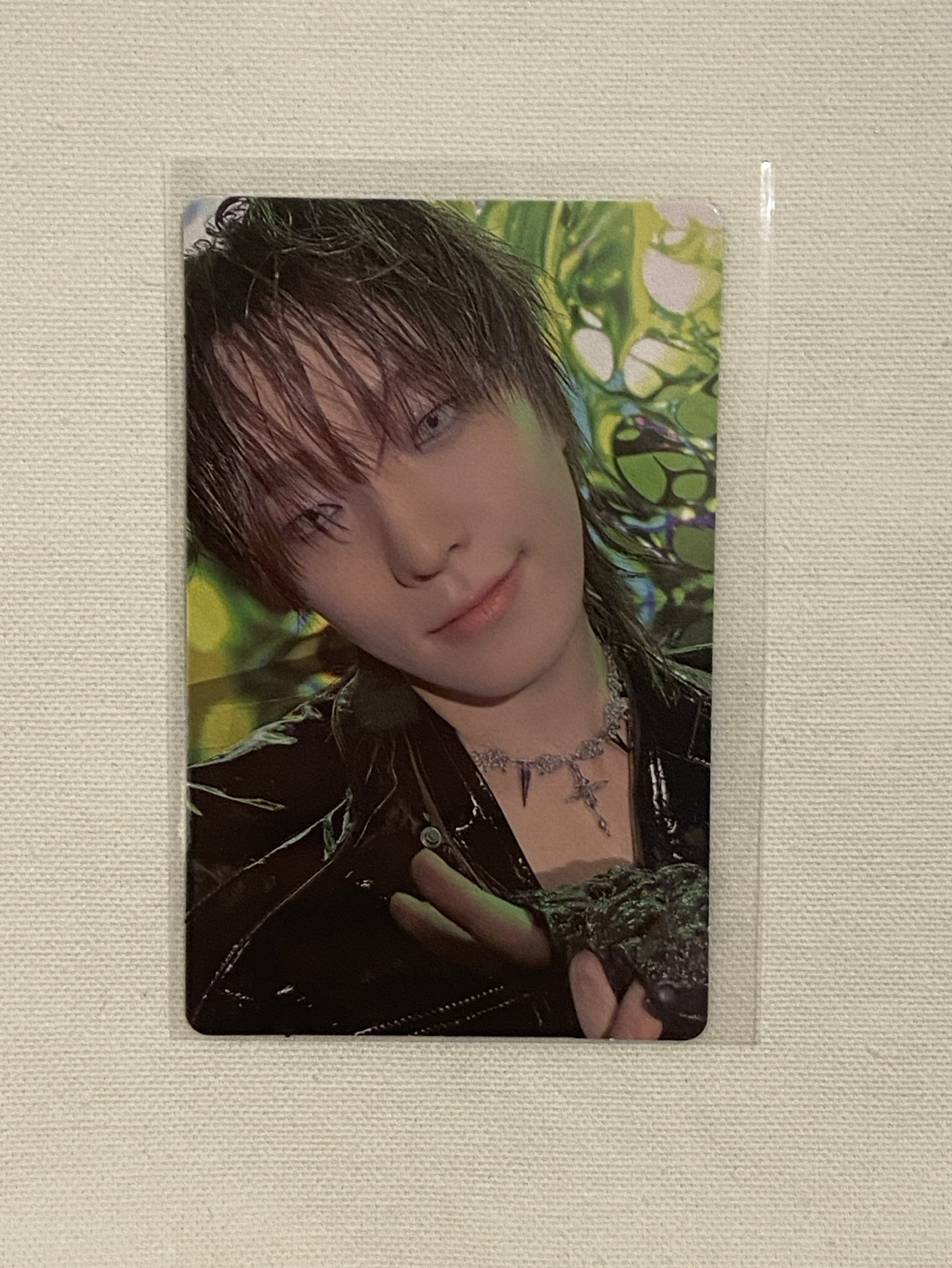 DINO 正五 WVS LD 1.0特典卡