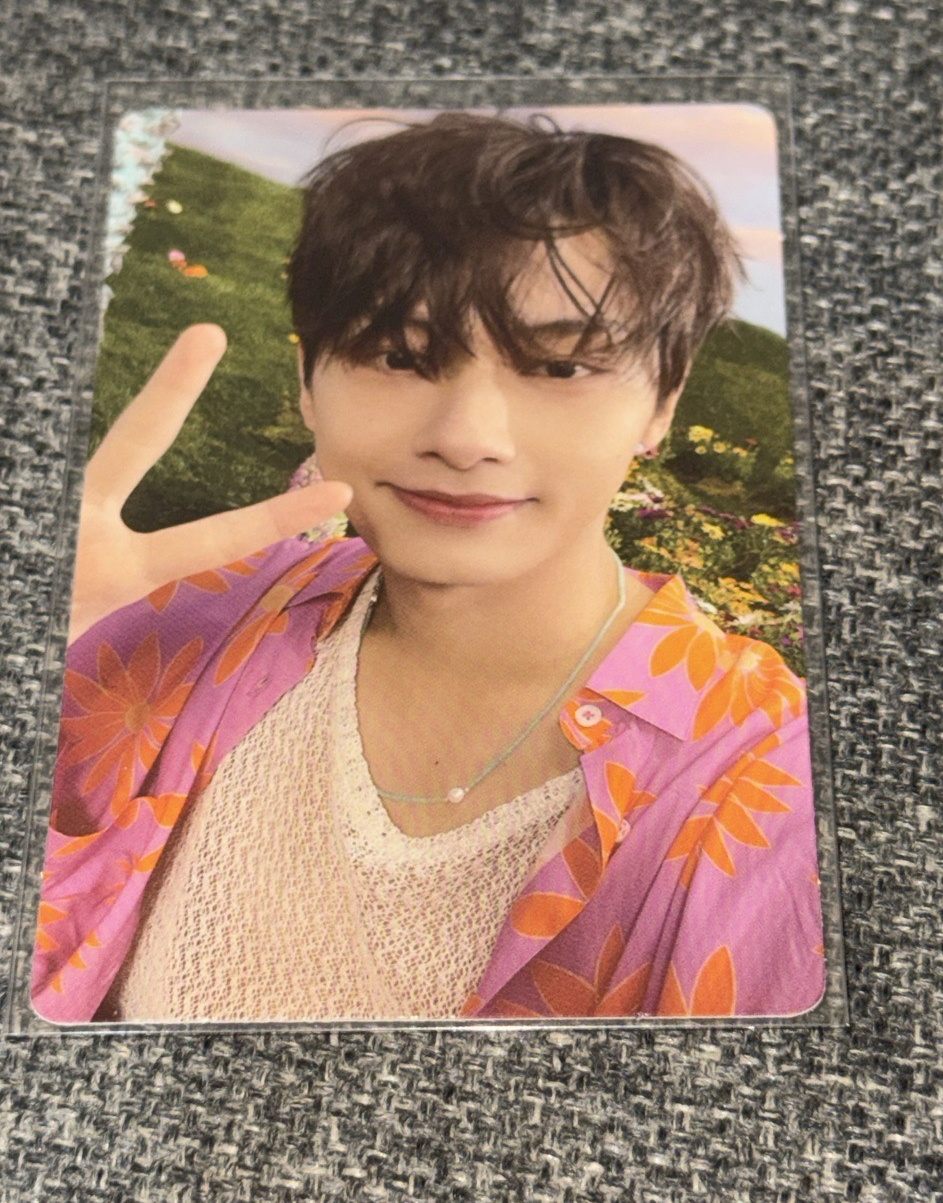 正四後續 Sector 17 專卡 俊