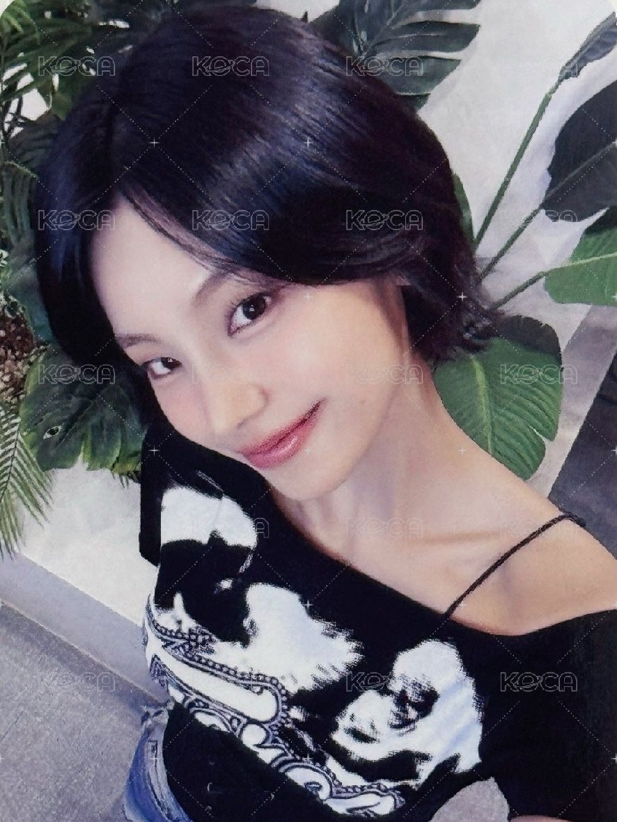 itzy黃禮志_全身可愛貓咪