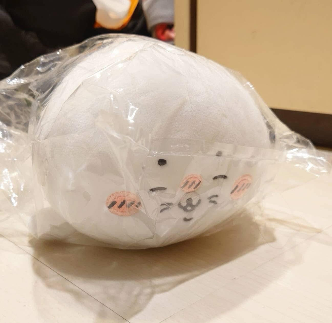 C賞小海豹