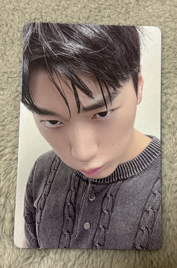 👑貓臉傘尼（價格已含六張檸檬團體專，需依內文規定配五張卡包卡才出）