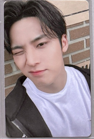 22‘克拉島 演唱會 DVD 克拉島回憶錄