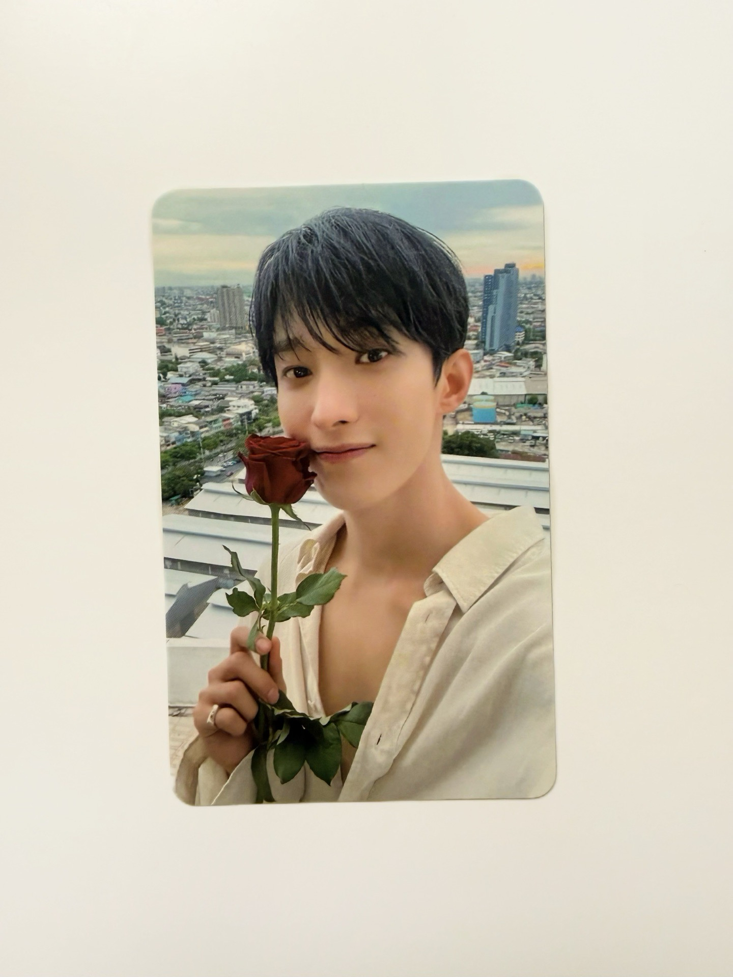 MINI12｜BR特典 玫瑰花 碩珉DK