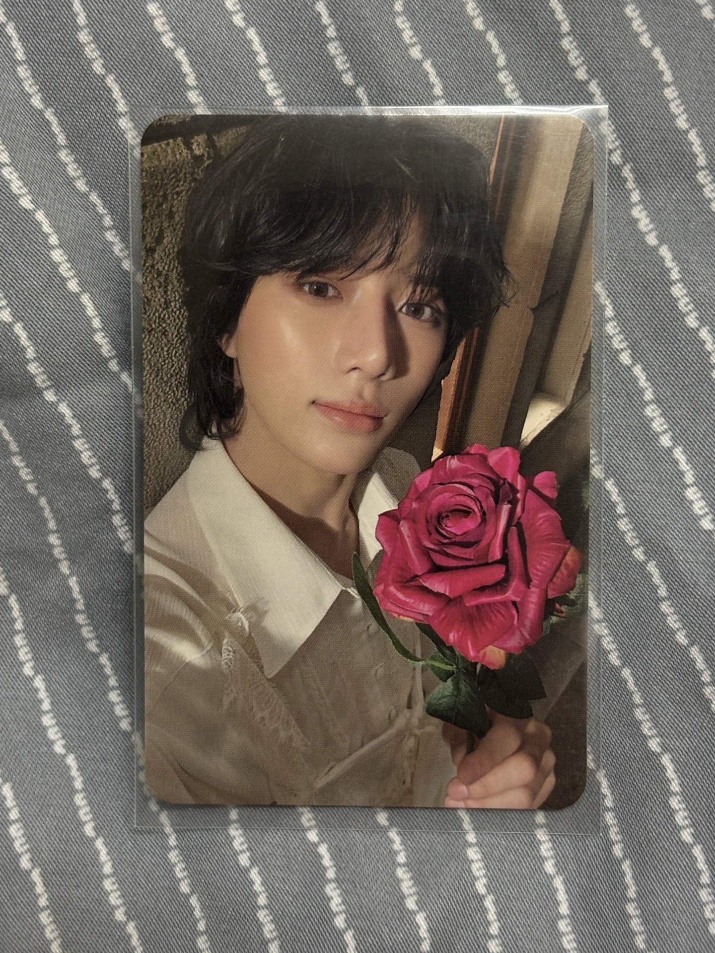 TXT 崔杋圭 迷六ROMANTIC版專卡 玫瑰圭