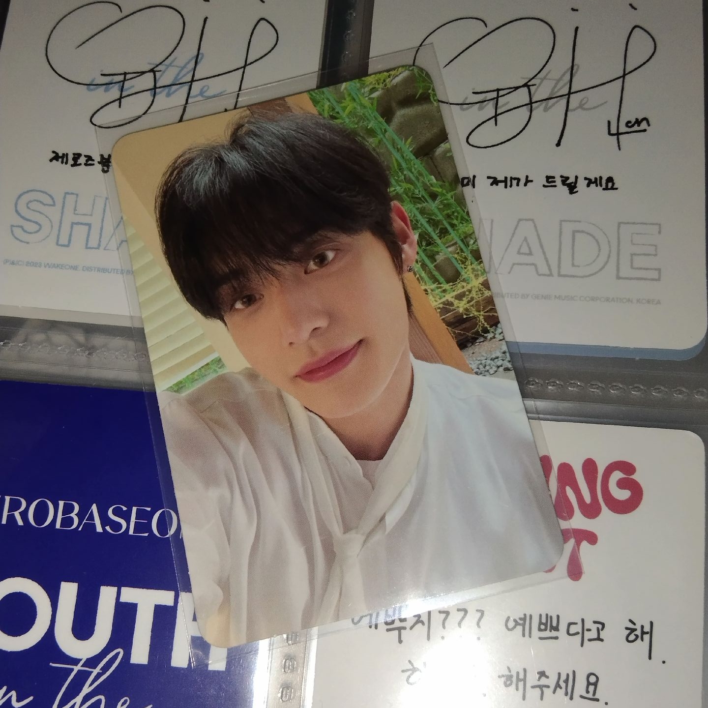 迷一 專卡 SHADE ver. 地雄