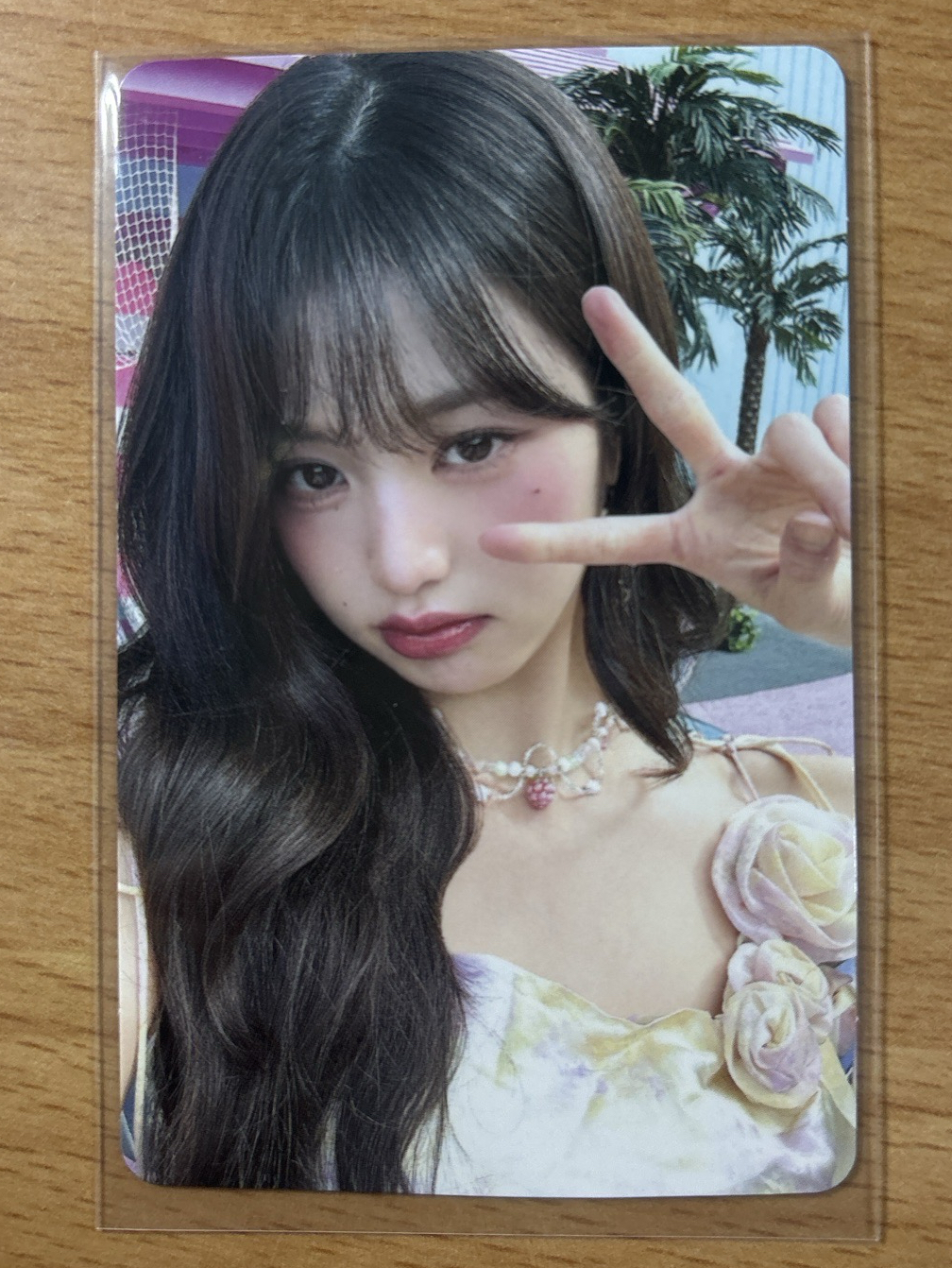 ALIVE 專輯卡 通常盤員