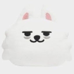 勇猛抱枕 PPULBATU抱枕 現貨