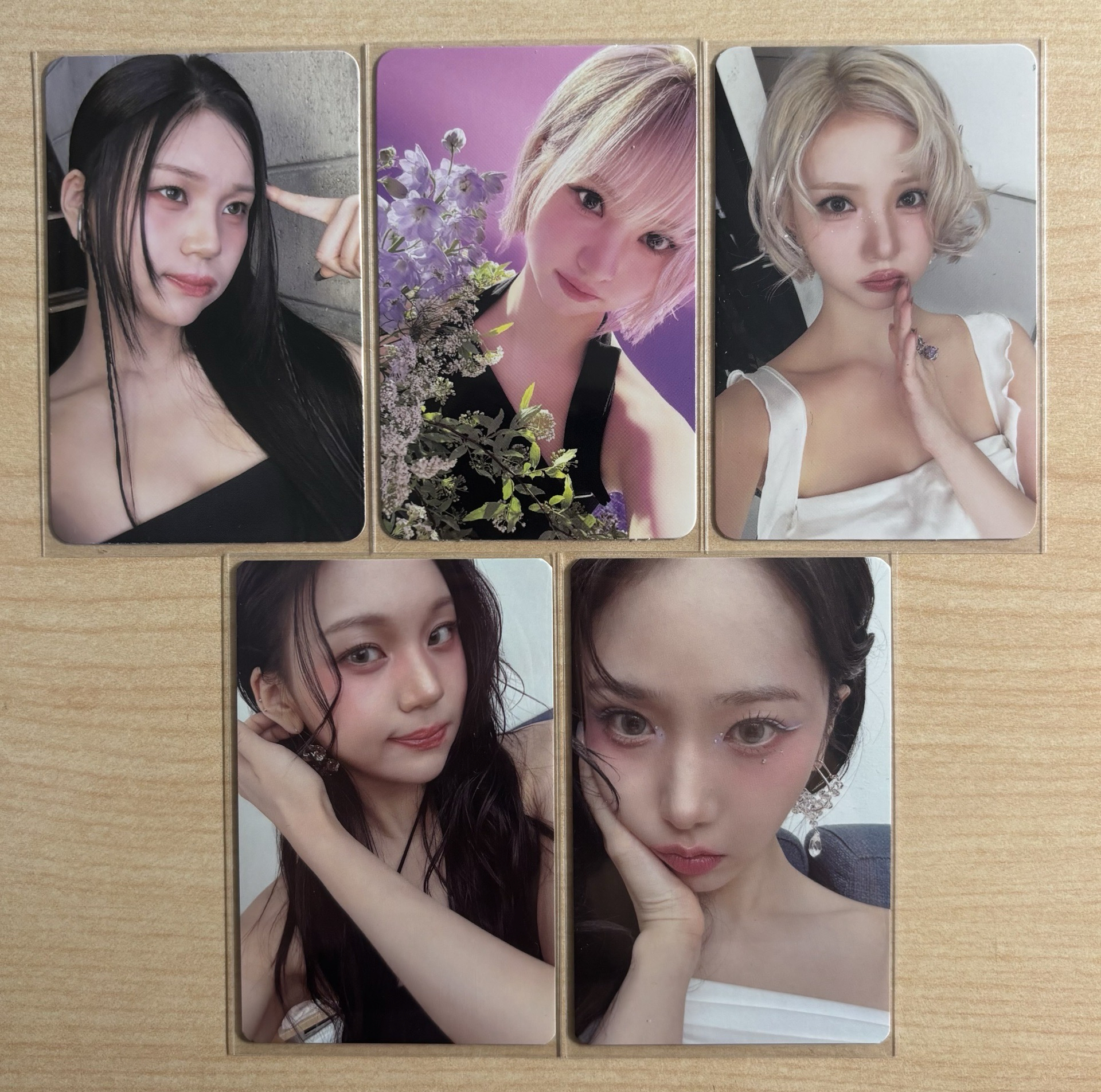 viviz專卡+隨機卡（五張不拆）