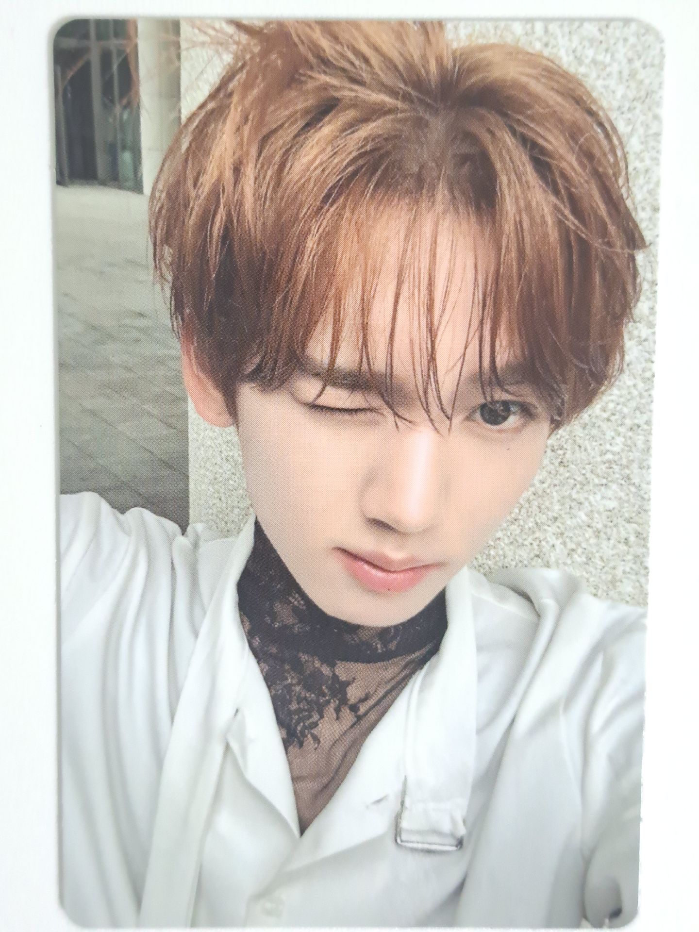 迷四 專輯卡 單封辰