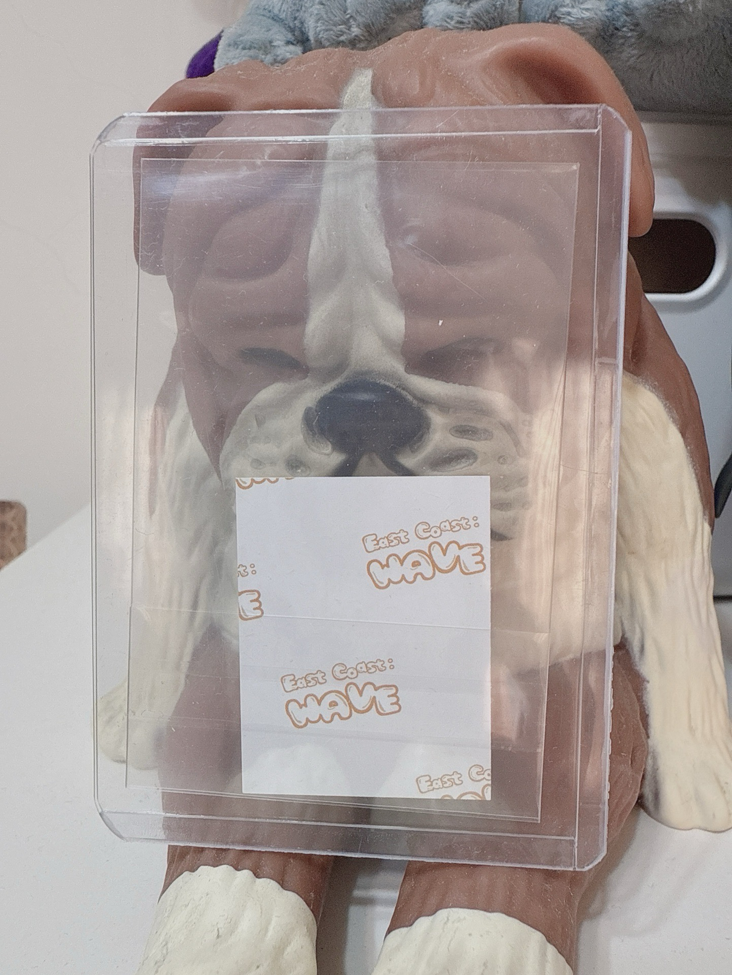 SJ 東海 2025 桃園 FANCON 證件照