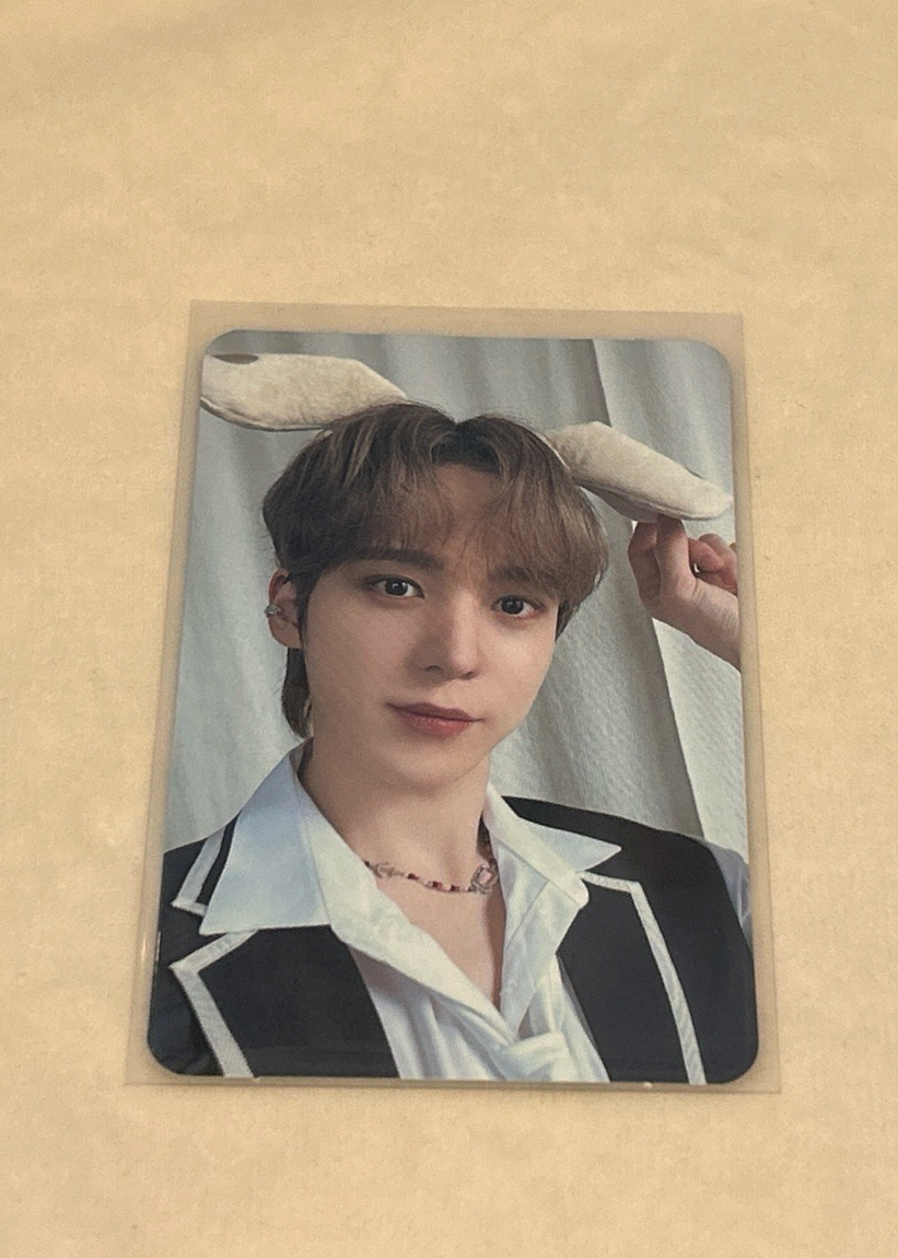 潤浩｜可愛大狗狗