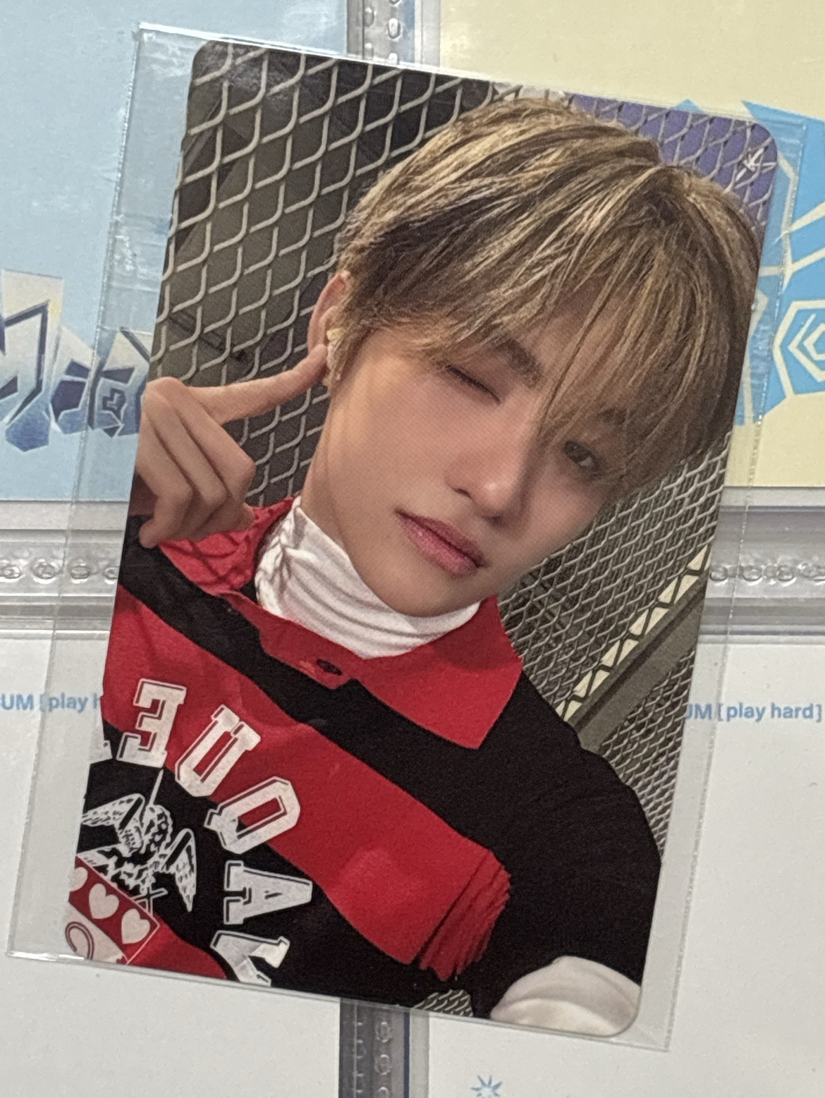 ✨志薫 wvs特典【單出可直拍】