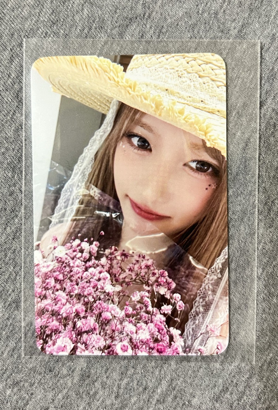 IVE sw7 捧花瑞