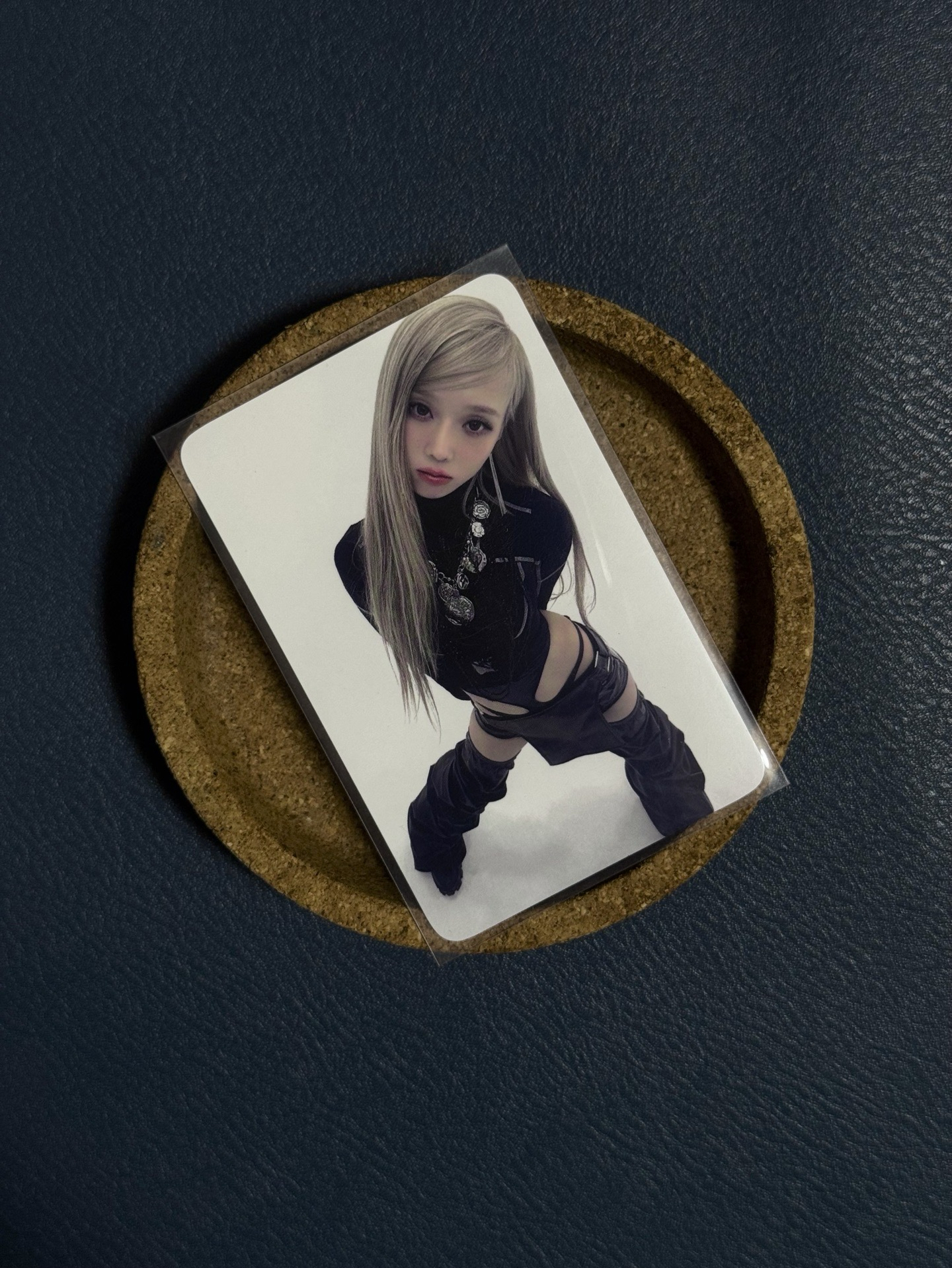 Whiplash k4預售冬