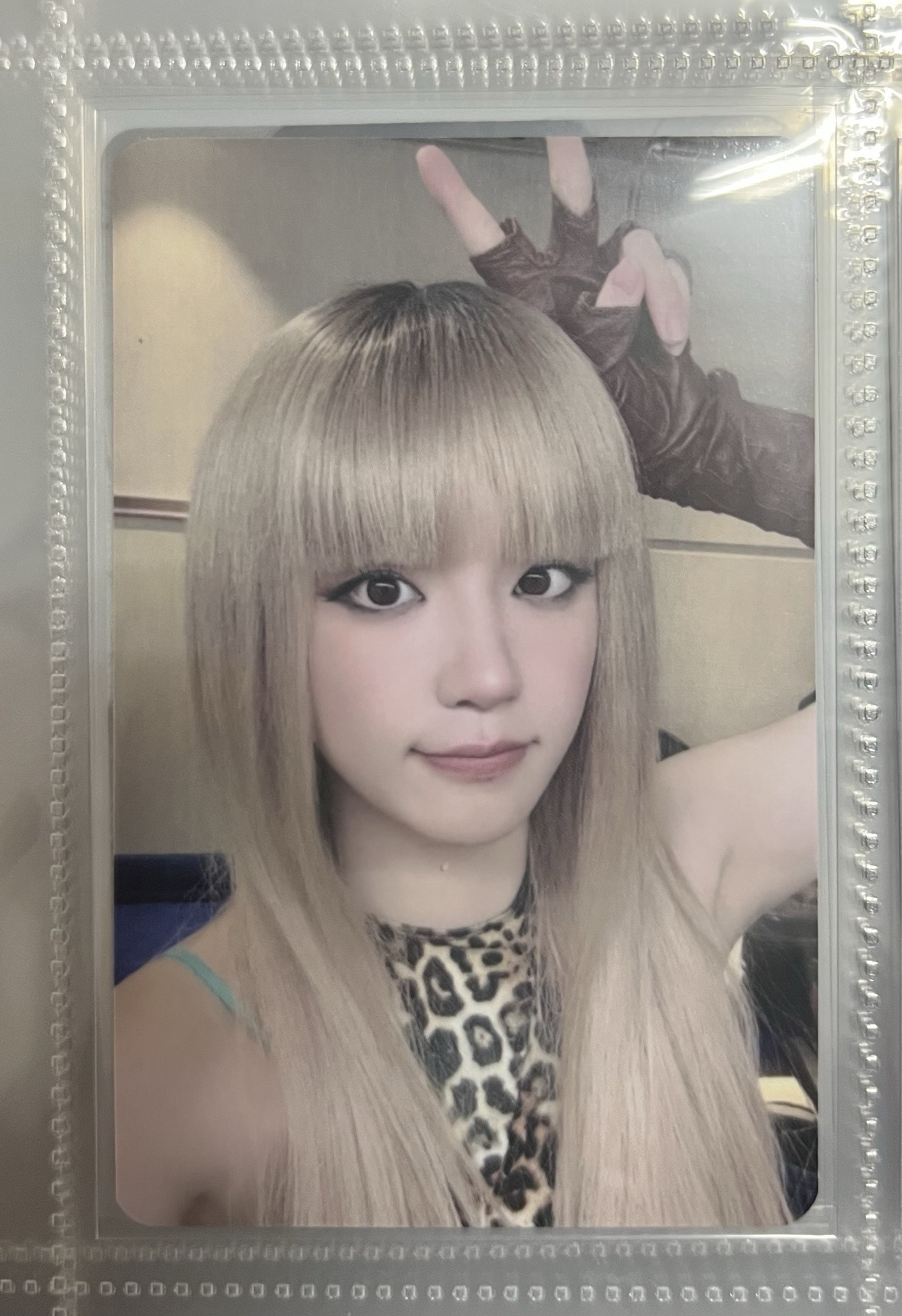 迷八 隨機卡 比YA琦