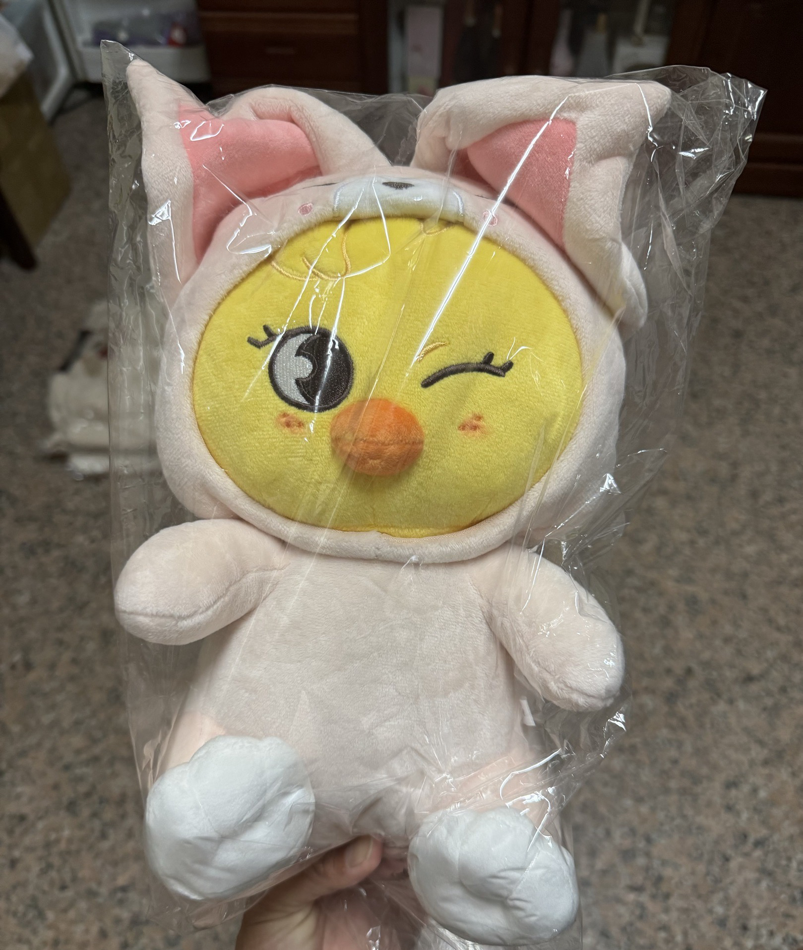 披著狐狸皮的小雞