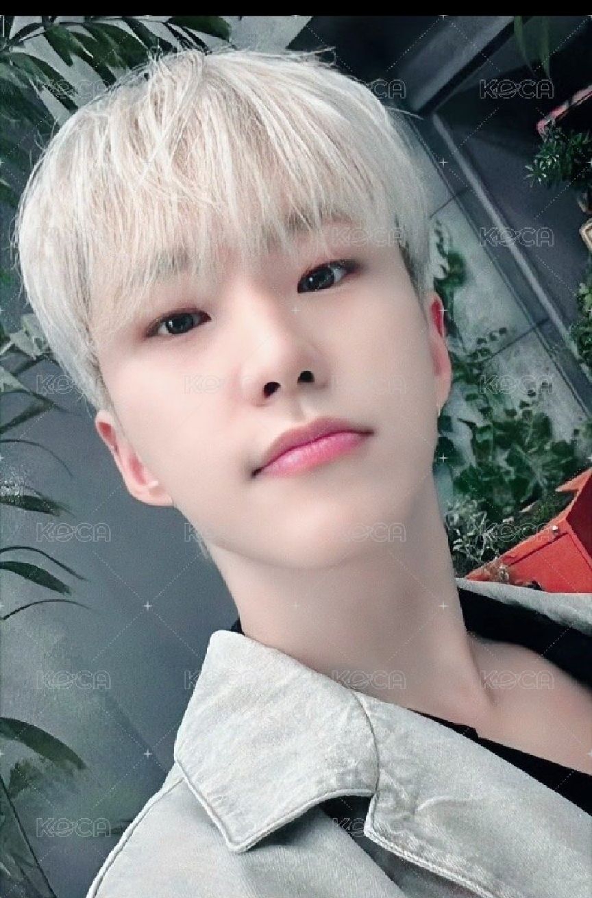 消費期限 特典卡 ｜塔店records特典