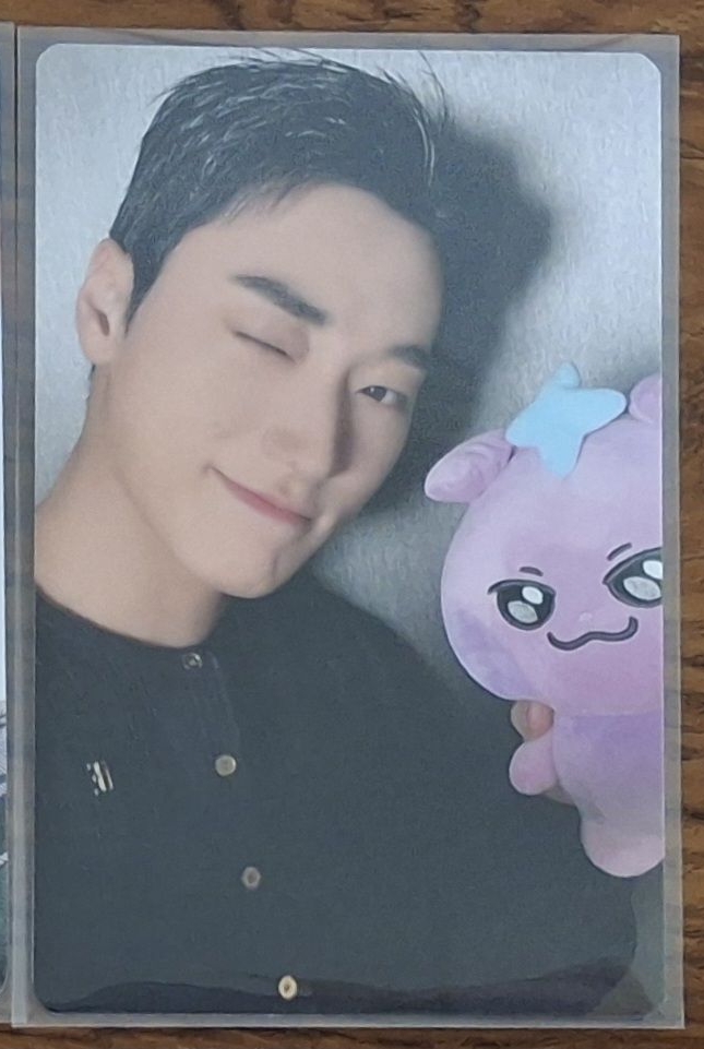 Mighteez 卡包卡 小胖紫我可愛吧😏