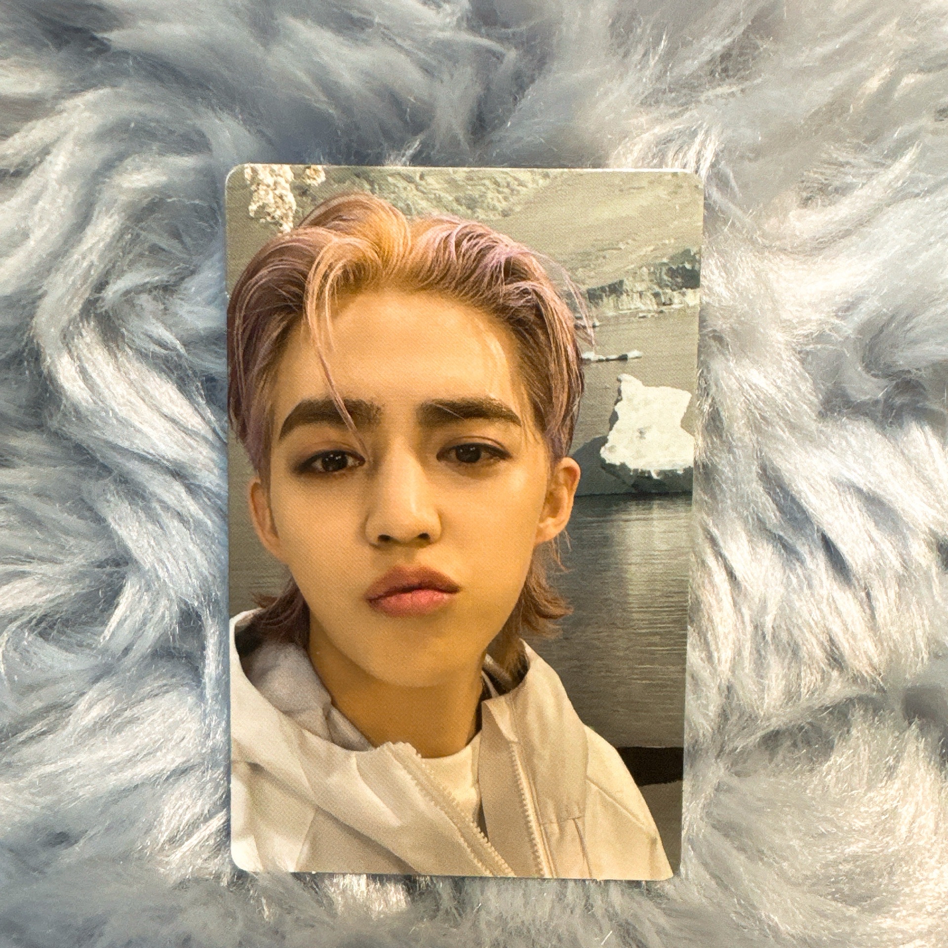 Seventeen  SECTOR 17 專輯小卡 S.COUPS 崔勝哲