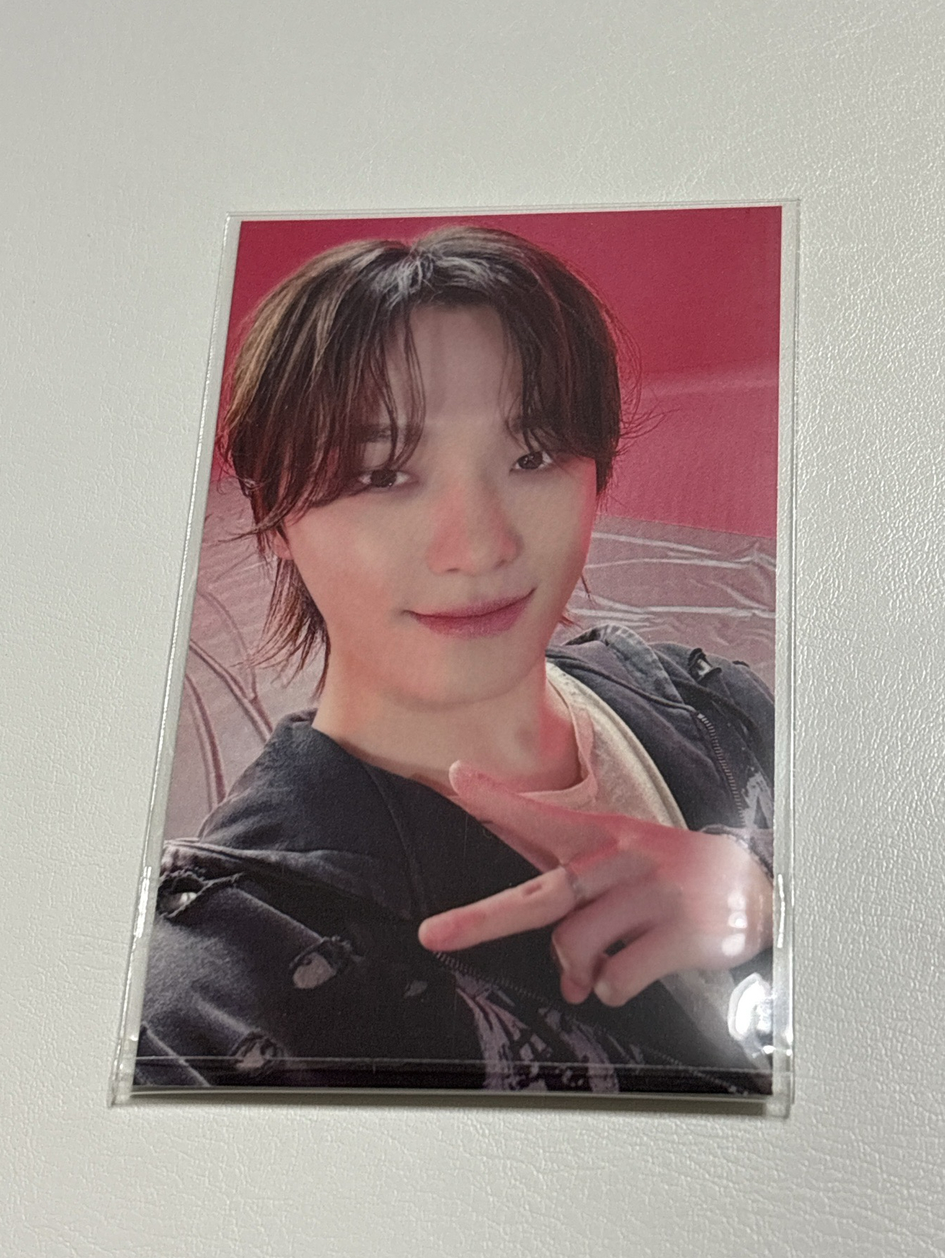 DINO 正五克拉盤環球