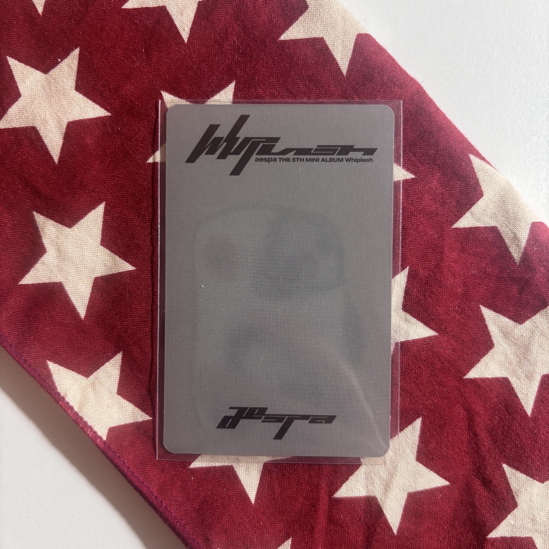 Whiplash hmv特典 冬 ⋆.˚⊹⁺