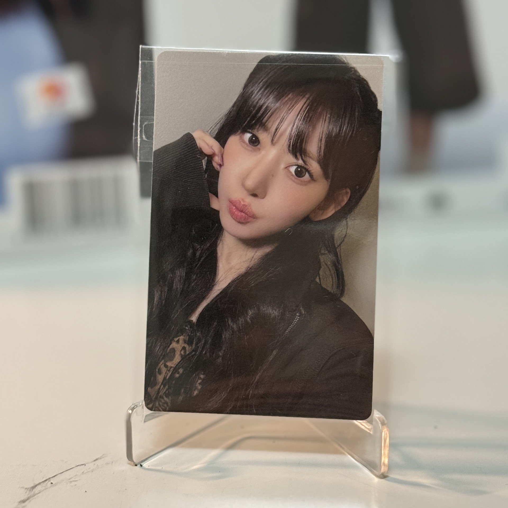 🌟現貨🌟WVS簽售櫻花🌸