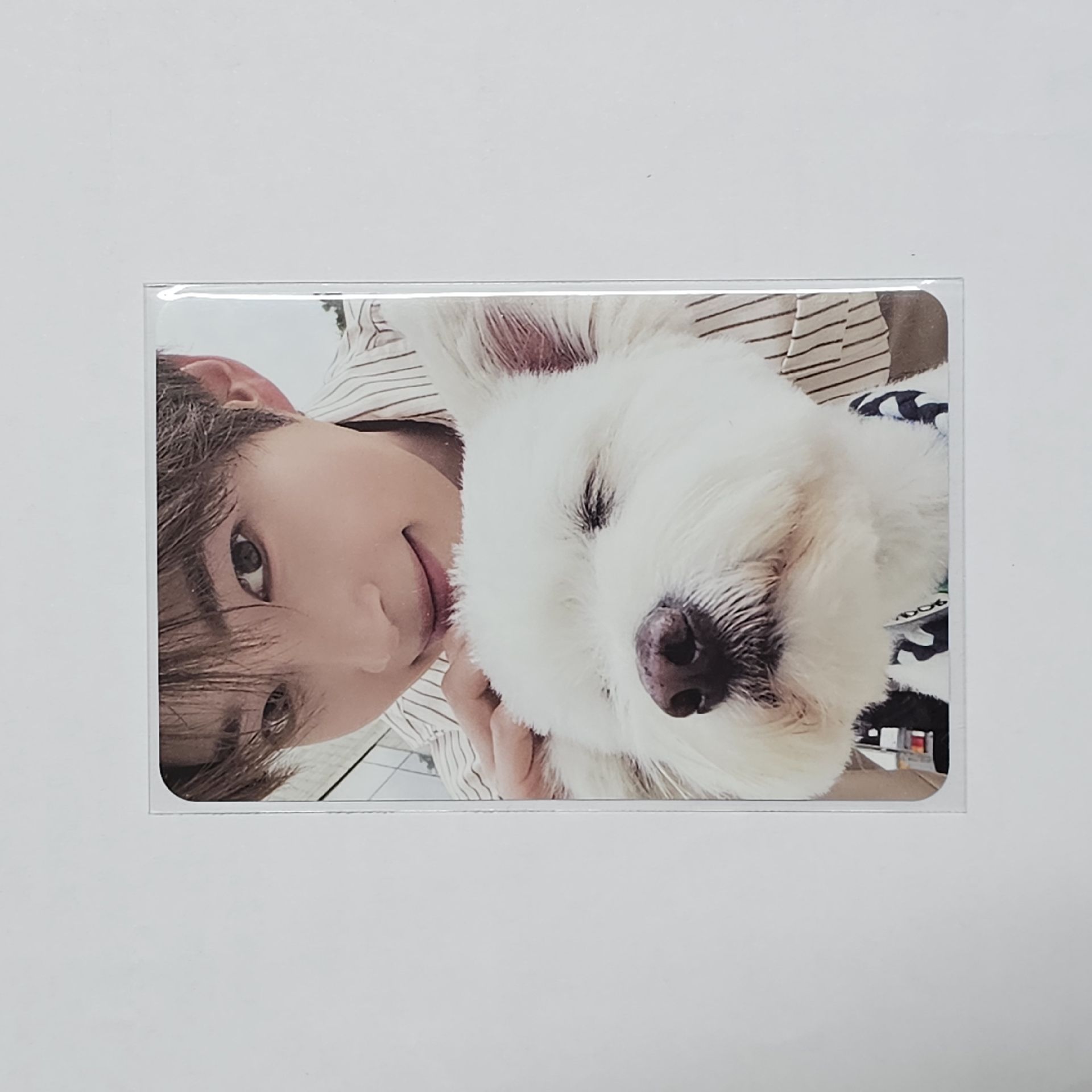 正規一 專輯卡 團封 狗狗ver.