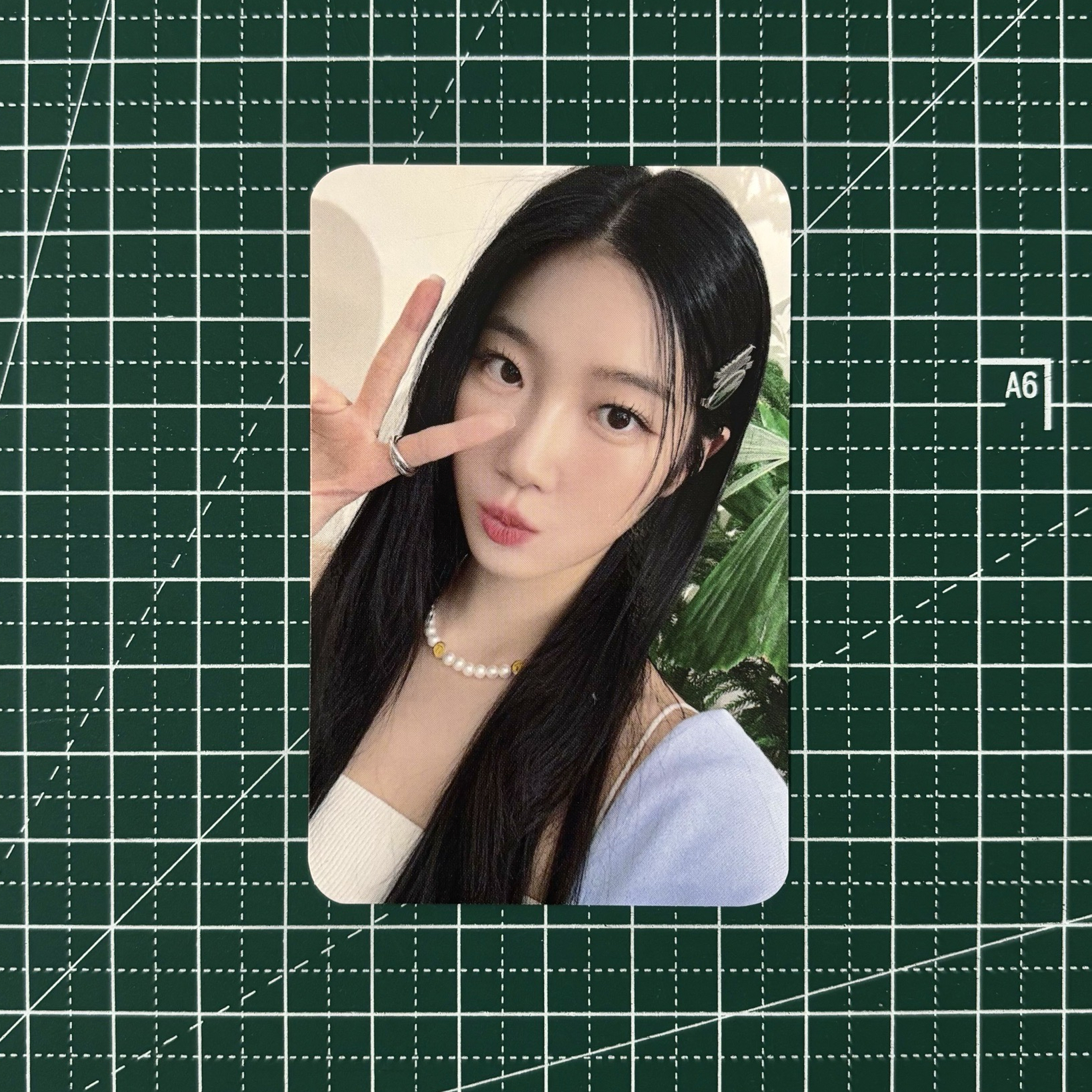 無赦 mk 簽售葉 🍃