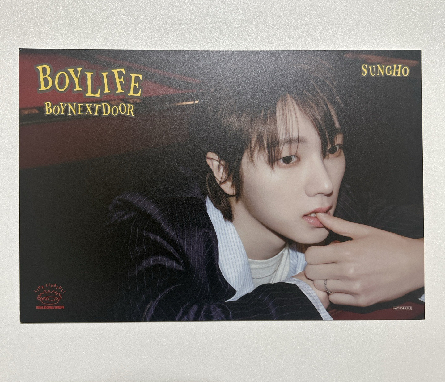 BOYLIFE 塔店 明信片 Shibuya 限定