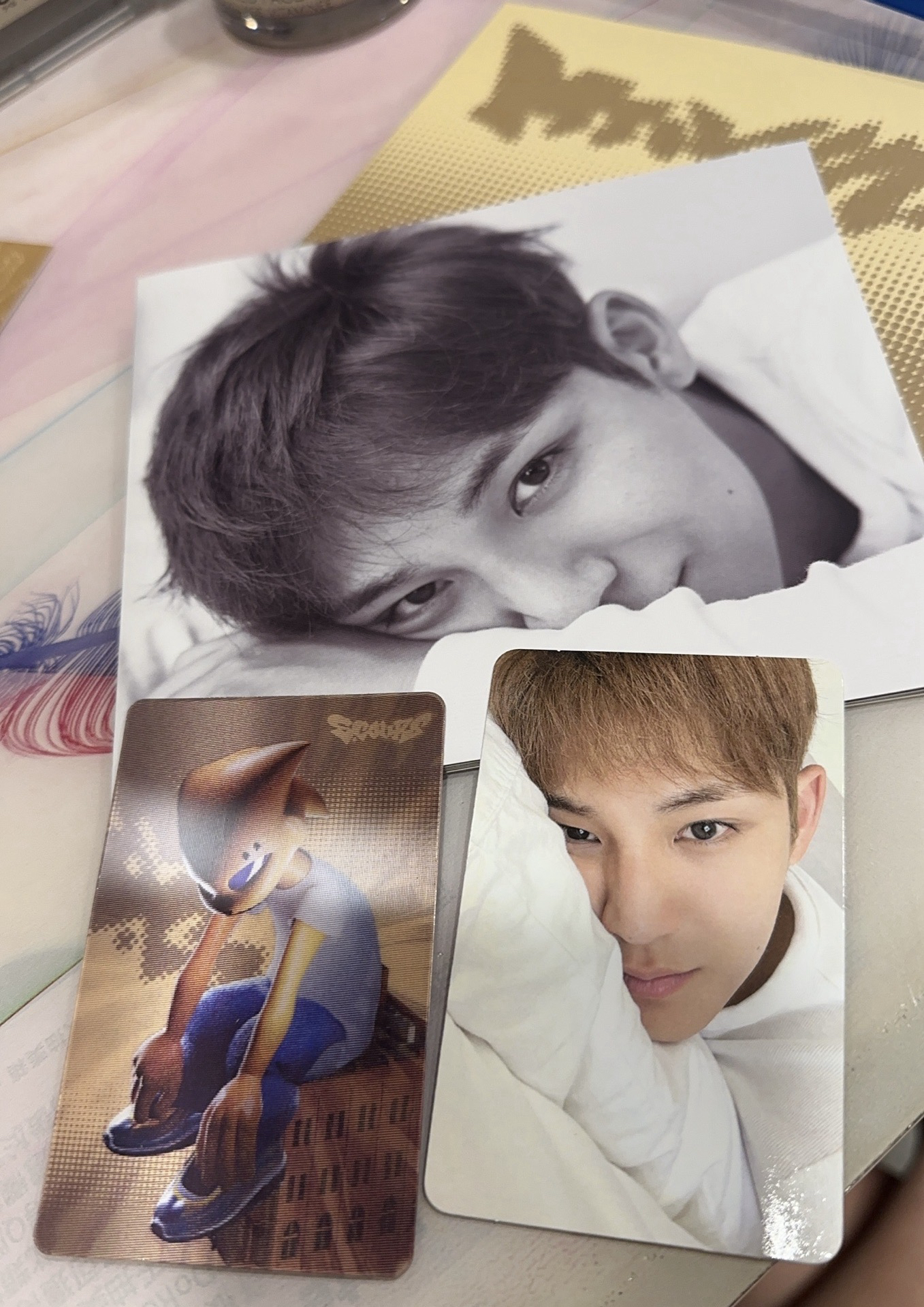 CxM compact 奎 全專