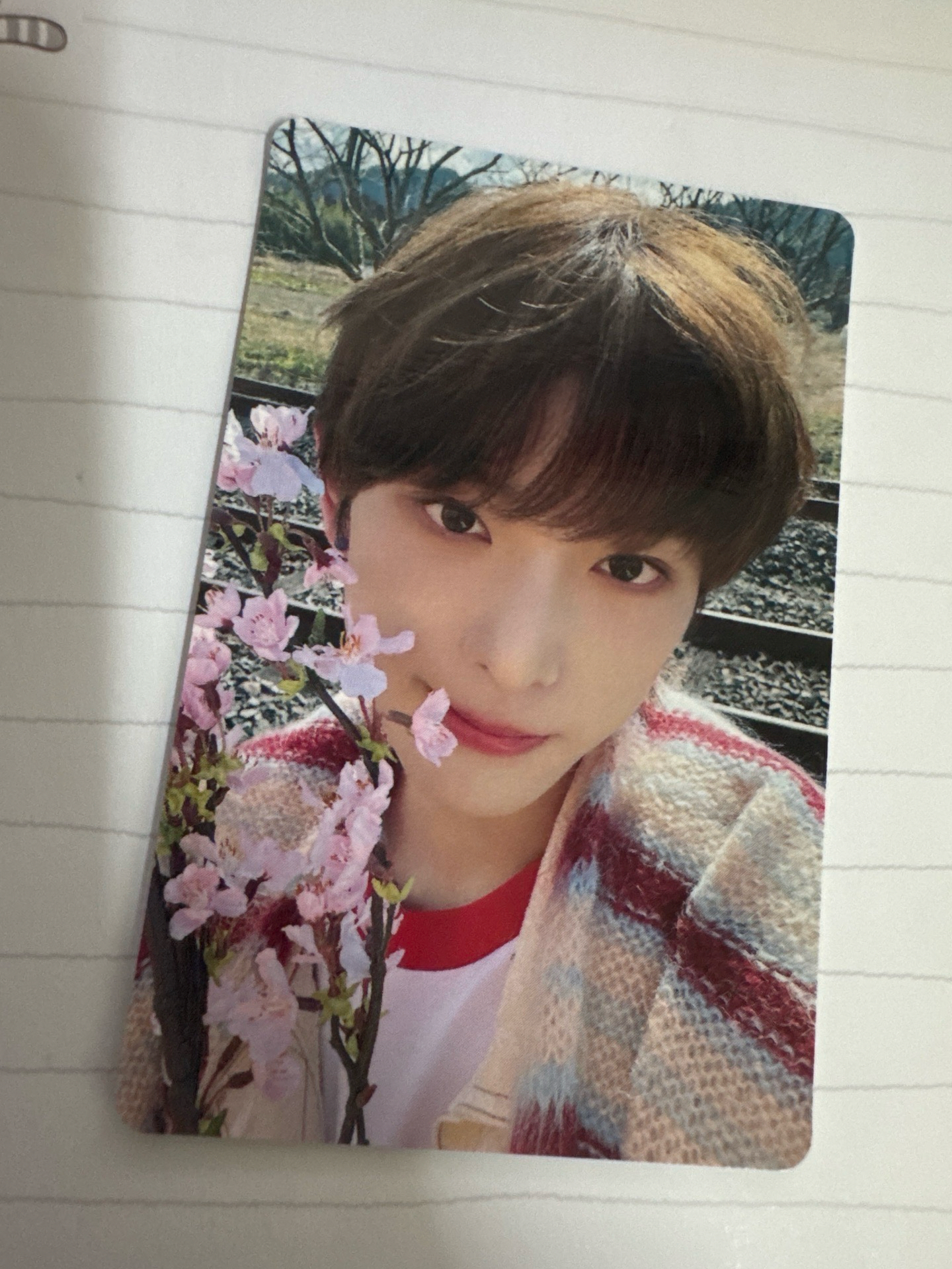 五月雨Harua 單封專卡