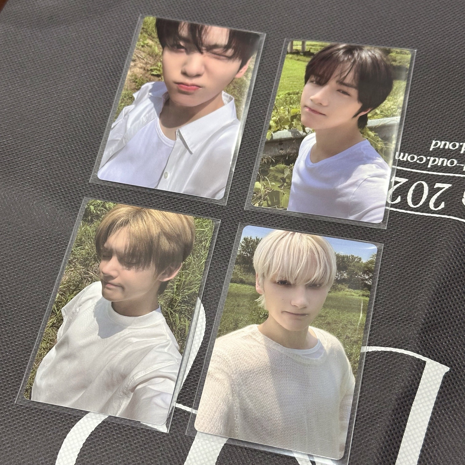 ✩ TOGETHER 草地 sc特典